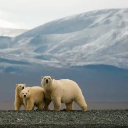 Vostochny State Nature Biosphere Reserve - Arsen'yev