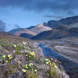 Vostochny State Nature Biosphere Reserve - Arsen'yev