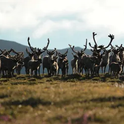 Vostochny State Nature Biosphere Reserve - Arsen'yev