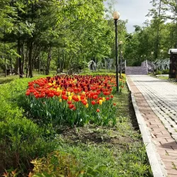 Artemovsky Park - Artem