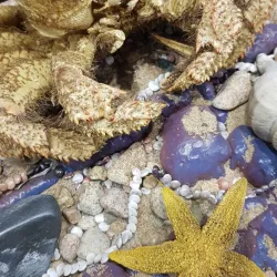 Local Art Galleries - Artem