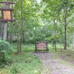 Nature Trails around Artem - Artem