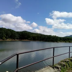 Nature Trails around Artem - Artem