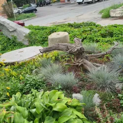 Primorsky Krai Museum of Local Lore - Artem