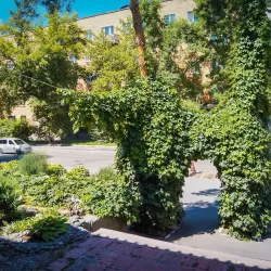 Primorsky Krai Museum of Local Lore - Artem