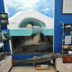 Bakal Local History Museum - Bakal