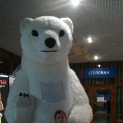 Bakal Sports Complex - Bakal