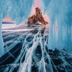 Local Forest Trails - Bakal