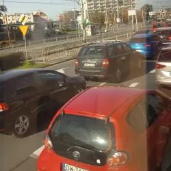 Local Forest Trails - Bakal