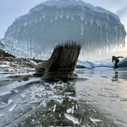 Local Forest Trails - Bakal