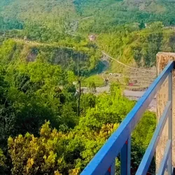 Local Forest Trails - Bakal