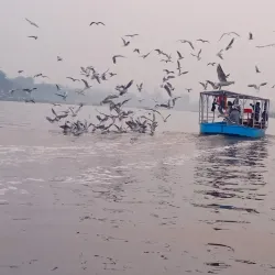 Local Forest Trails - Bakal