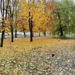 Balakovo City Park - Balakovo