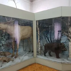 Altai State Museum of Local Lore - Barnaul