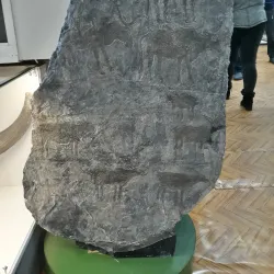 Altai State Museum of Local Lore - Barnaul