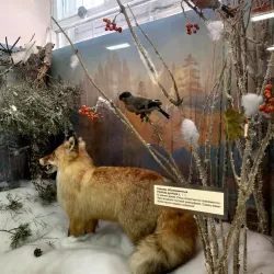 Altai State Museum of Local Lore - Barnaul