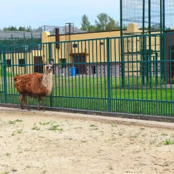 Belgorod Zoo - Belgorod