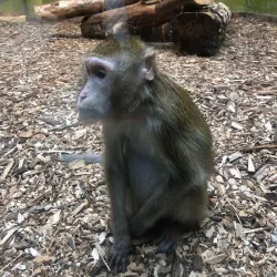 Belgorod Zoo - Belgorod