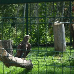 Belgorod Zoo - Belgorod