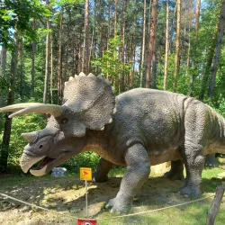 Belgorod Zoo - Belgorod