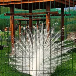 Belgorod Zoo - Belgorod