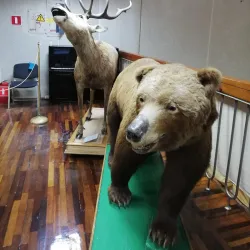 Museum of Local Lore - Belgorod