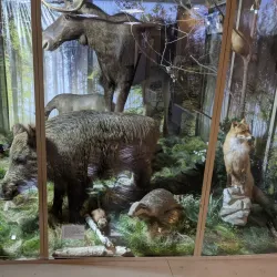 Museum of Local Lore - Belgorod