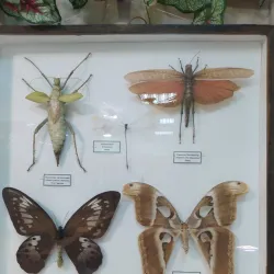 Museum of Local Lore - Belgorod