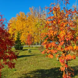 Berdsk City Park - Berdsk