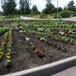 Berdsk City Park - Berdsk