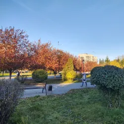 Central Park of Culture and Leisure - Berdsk