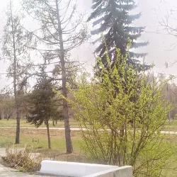 Victory Park - Berdsk