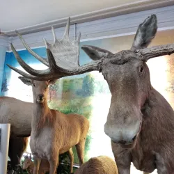 Biysk Botanical Garden - Biysk