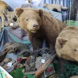 Biysk Botanical Garden - Biysk