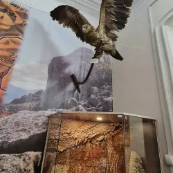 Biysk Fortress Site - Biysk