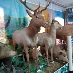 Biysk Historical and Cultural Museum Complex - Biysk