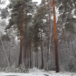 Bratsk Museum of Local Lore - Bratsk