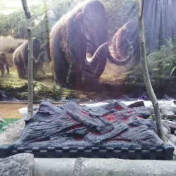 Bratsk Museum of Local Lore - Bratsk