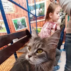 Bratsk Museum of Local Lore - Bratsk