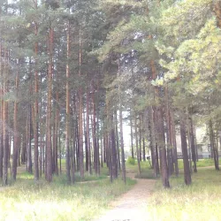 Central Park of Culture and Leisure - Bratsk