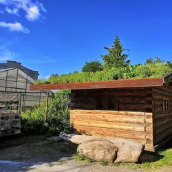 Siberian Botanical Garden (Bratsk Branch) - Bratsk