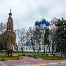 Bronnitsy Market - Bronnitsy