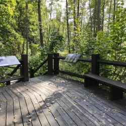 Bryansk Forest Nature Reserve - Bryansk