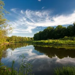 Bryansk Forest Nature Reserve - Bryansk