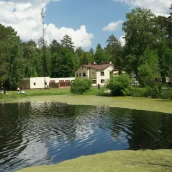 Bryansk Forest Nature Reserve - Bryansk