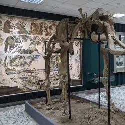 Bryansk Regional Museum of Local Lore - Bryansk