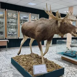 Bryansk Regional Museum of Local Lore - Bryansk