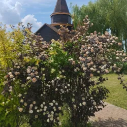 Cathedral of the Holy Trinity - Bryansk
