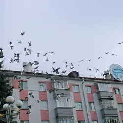 Monument to the Defenders of Bryansk - Bryansk