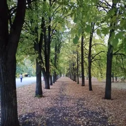 Victory Park - Bryansk